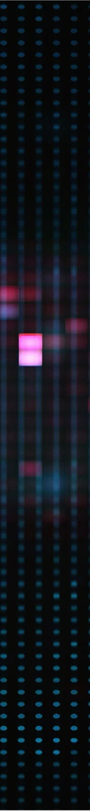 Cyber Fraud Fiona Getty Amrop Australia (1)